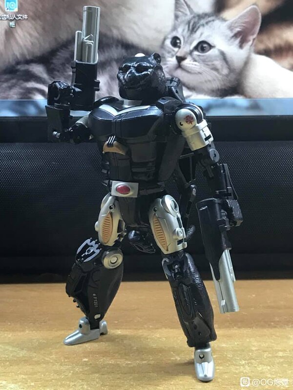 MORE Transformers Agent Ravage Images Cheetor Compared  (42 of 67)